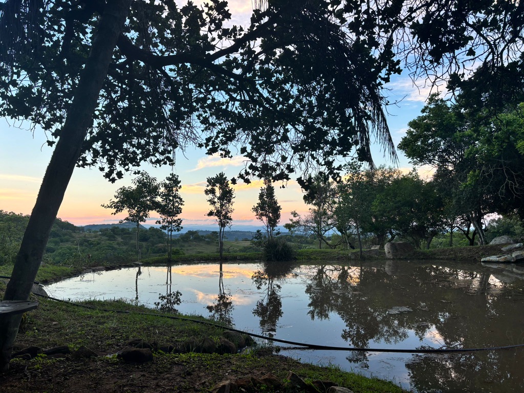 Südafrika - barfuß in der Wildnis. Hier an einem privaten Anwesen mit Weiher und magischem Ausblick
